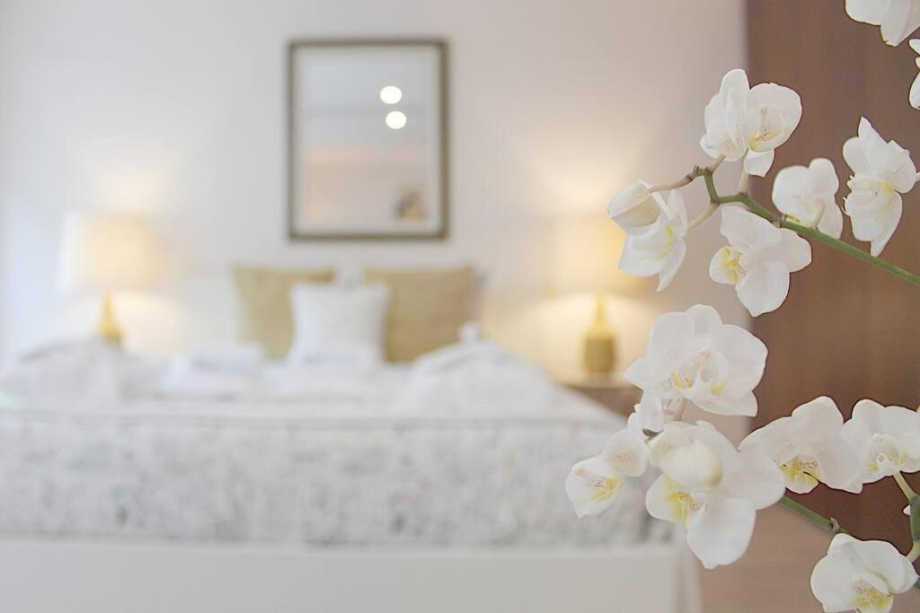 Oliveiras Charming Apartment Downtown Πόρτο Εξωτερικό φωτογραφία